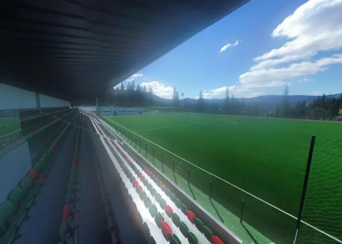 Vila Sport Borsec